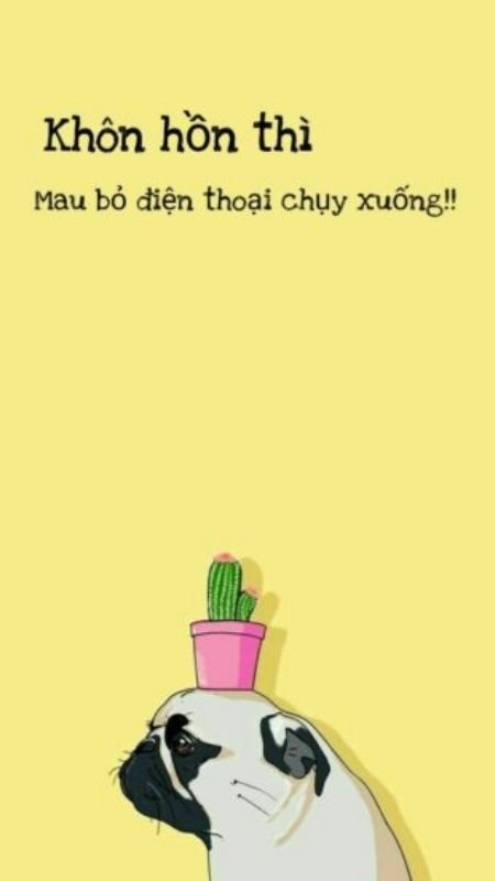 Ảnh nền điện thoại hài hước hình chú bé meme