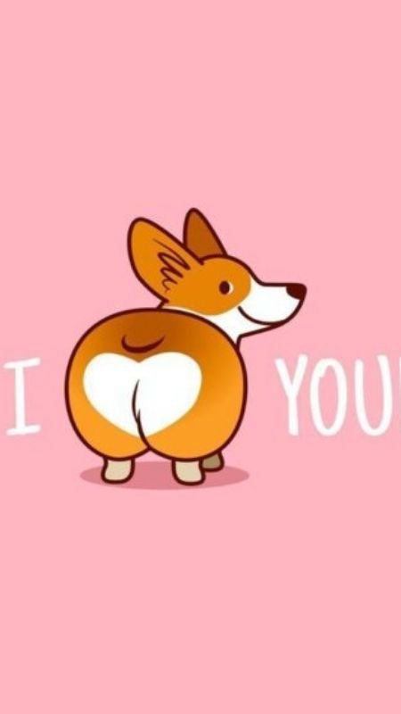 Ảnh nền điện thoại hài hước hình mèo cười mãn nguyện