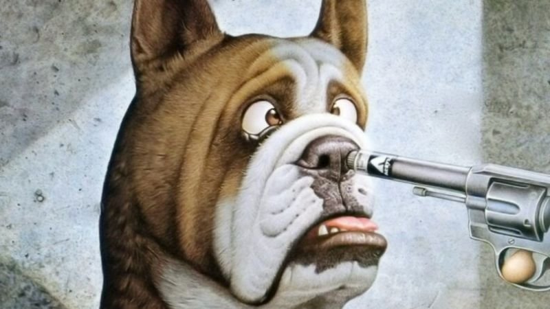 Ảnh nền máy tính hài hước chú chó hoảng hốt khi bị dí súng đồ chơi