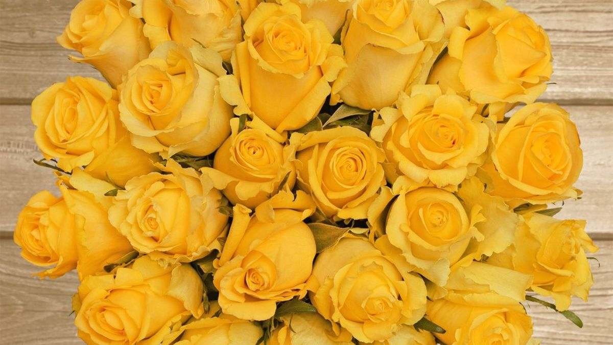 Hình nền hoa hồng vàng nghệ thuật 3D cho desktop