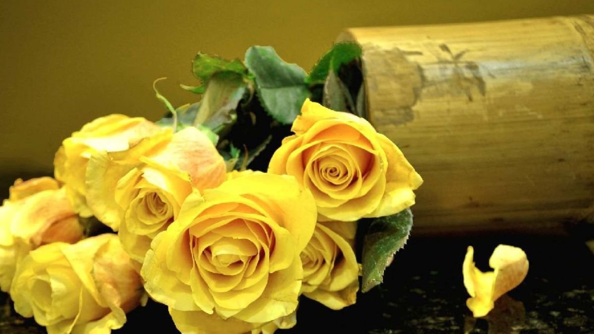 Hình nền hoa hồng vàng 3D độc đáo cho máy tính để bàn