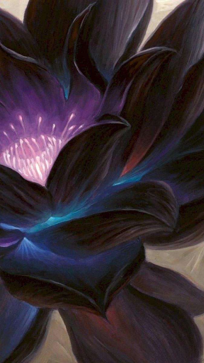 Hình nền máy tính hoa sen 3D đẹp nhất