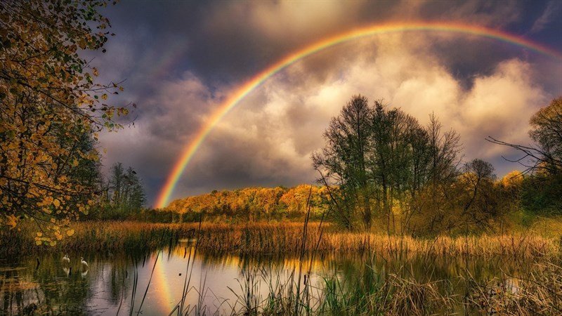 Hình nền máy tính cầu vồng kỳ ảo với kiến trúc hiện đại