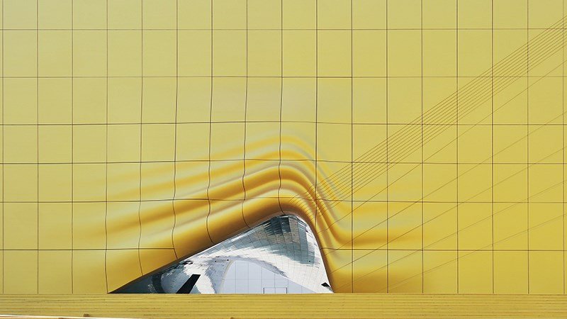 Hình nền máy tính màu vàng cây cối mùa thu