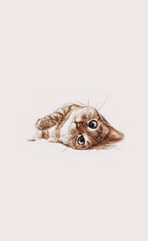 Hình nền mèo cho điện thoại