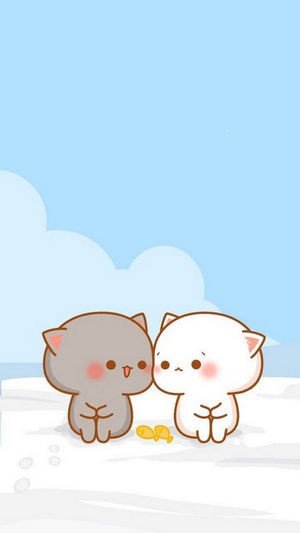 Hình nền mèo cute dễ thương, được yêu thích nhất