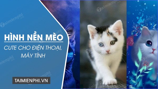 Hình Nền Cute Cho Máy Tính Full HD