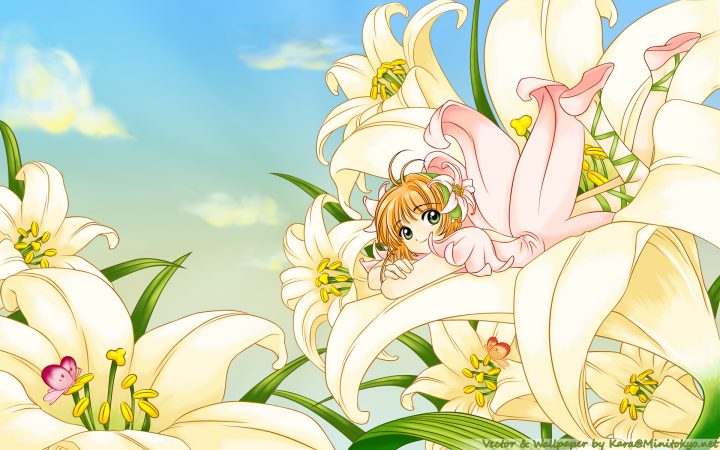 ảnh nền máy tính hoạt hình đẹp: Sakura e ấp bên hoa ly