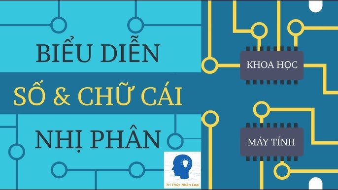 Máy tính biểu diễn thông tin như thế nào: Từ Bit đến Dữ liệu thực