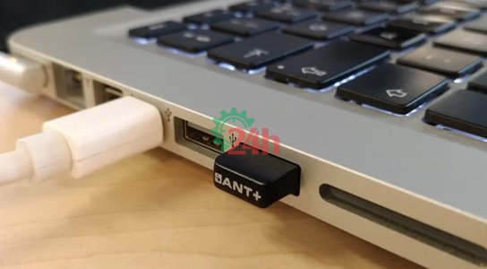 Kiểm tra các thiết bị cắm vào để sửa lỗi máy tính tự cuộn trang