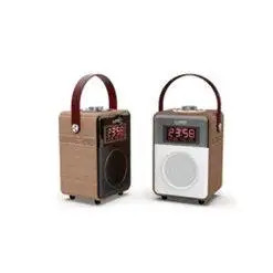 Loa gỗ thời trang có đai cầm tay VS1