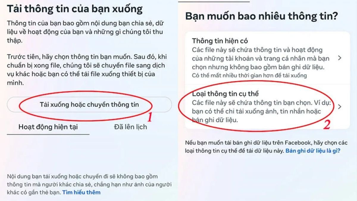 Lựa chọn tài khoản và loại thông tin cụ thể để sao lưu tin nhắn Messenger trên máy tính