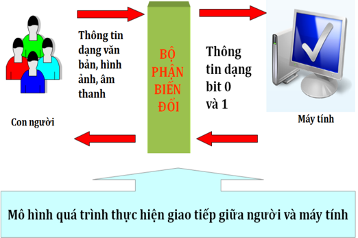 Thông tin máy tính được biểu diễn như thế nào? Giải mã từ A-Z