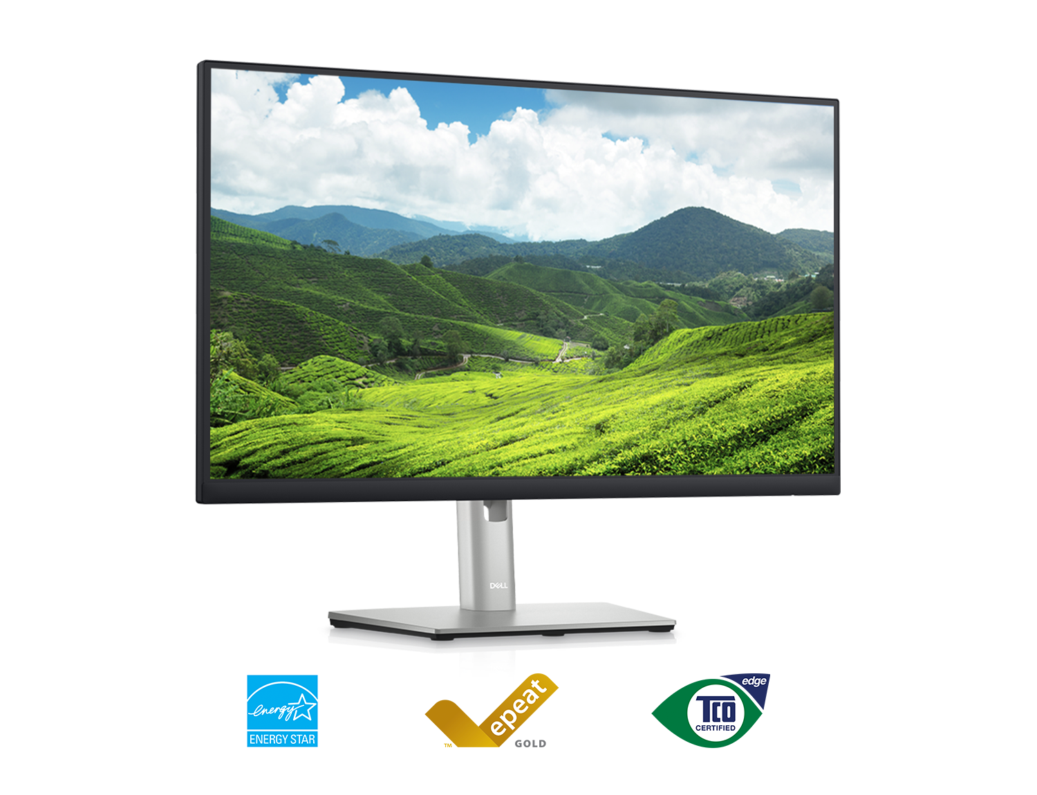 Picture of a Dell P2423D Monitor with a nature landscape background on the screen.