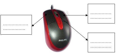 Một con chuột máy tính được đánh số các bộ phận