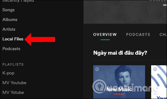 Nghe Nhạc Offline Trên Máy Tính: Hướng Dẫn Chi Tiết Với Spotify và Các Giải Pháp Khác
