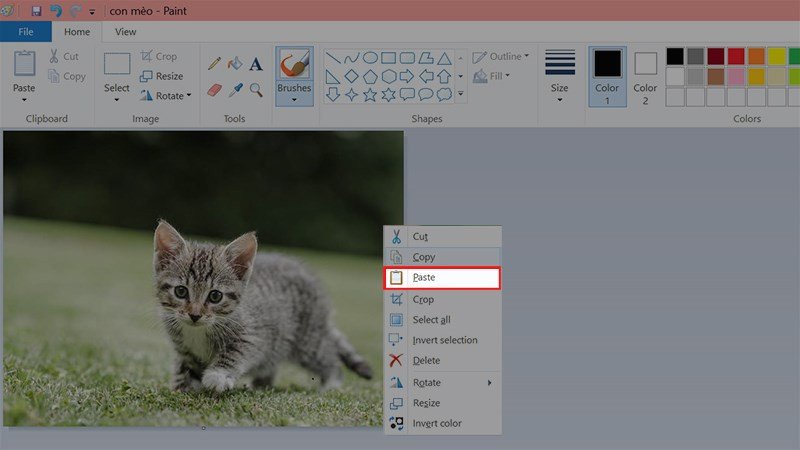Nhấn chuột phải vào ảnh > Chọn Paste hoặc nhấn tổ hợp phím Ctrl + V