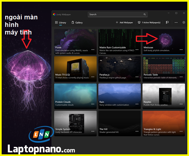 Cài đặt hình nền động có sẵn bằng Lively Wallpaper trên Windows 10