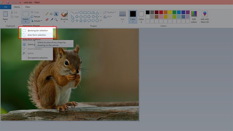 Các lựa chọn cắt ảnh trong Paint, bao gồm Rectangular selection và Free-form selection.