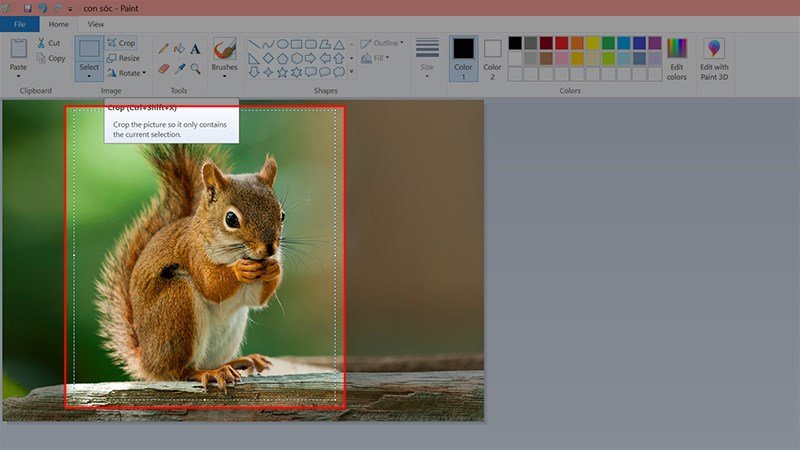 Minh họa cách kéo chọn vùng ảnh hình chữ nhật bằng Rectangular selection trong Paint.