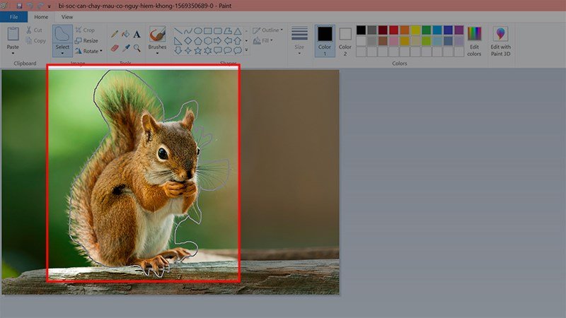 Minh họa cách chọn vùng ảnh tự do bằng Free-form selection trong Paint.