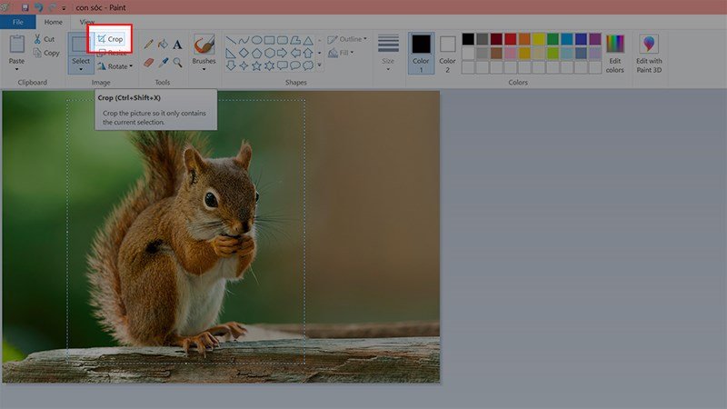 Nút Crop được highlight trong giao diện Paint sau khi chọn vùng ảnh.