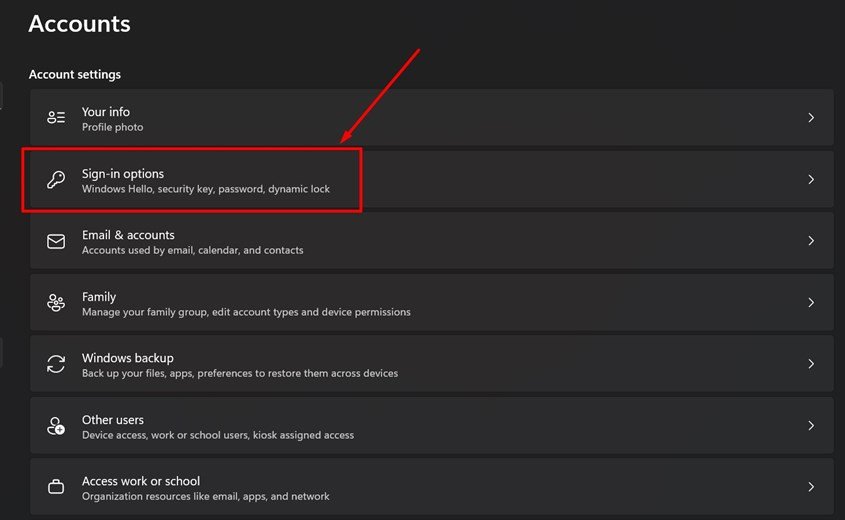 Sau đó chọn Sign-in Options