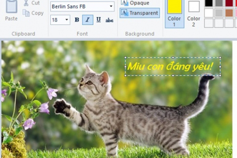 Phần Mềm Chèn Chữ Vào Ảnh Trên Máy Tính Chuyên Nghiệp