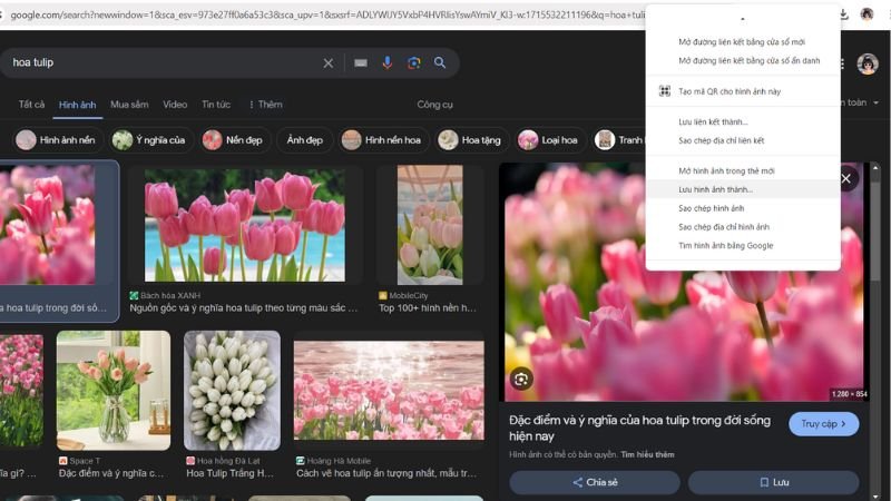 Cách tải ảnh đẹp về máy tính - Lưu ảnh từ Google