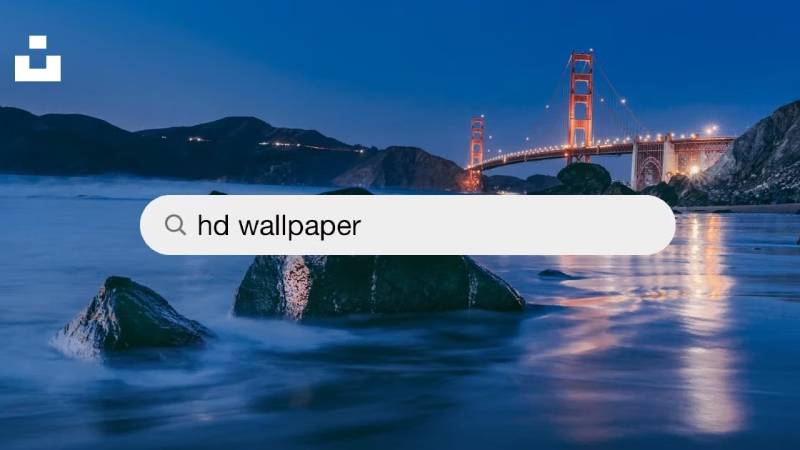 Giao diện website Unsplash với ảnh nền đẹp