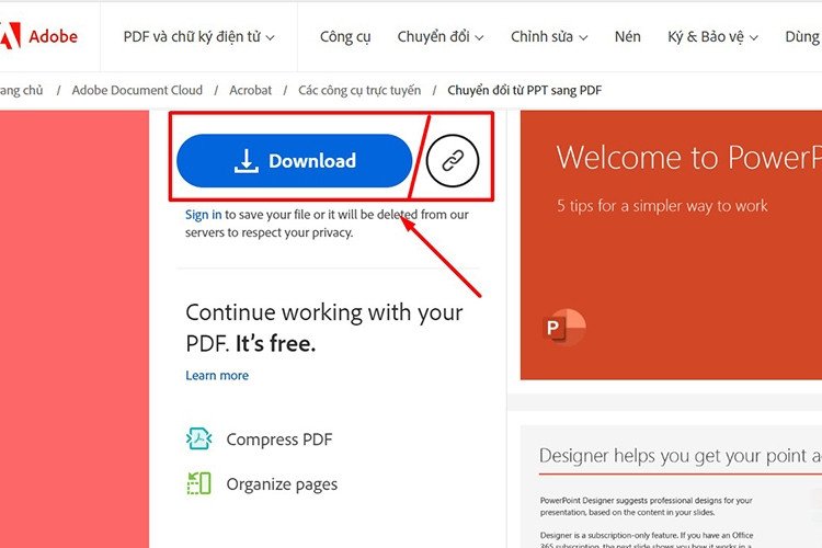 Tải file PDF sau khi chuyển đổi từ Adobe Acrobat Online