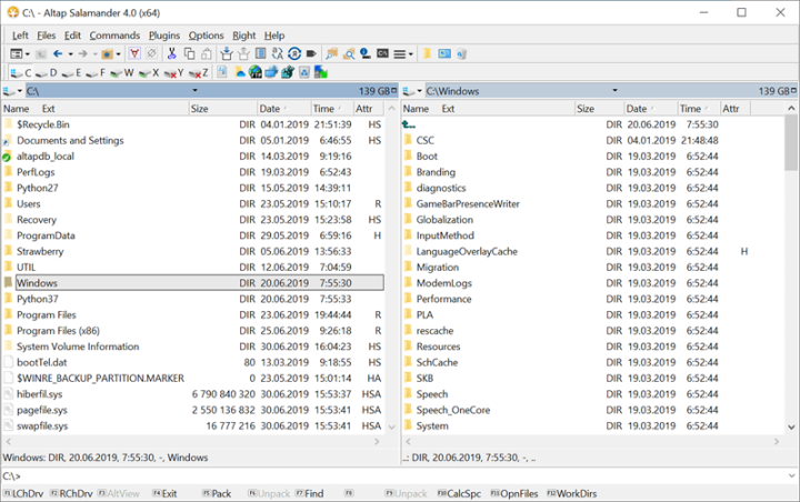 Giao diện Altap Salamander