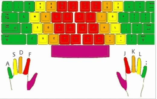 Sơ đồ phân chia khu vực gõ phím cho từng ngón tay để luyện tập đánh máy 10 ngón