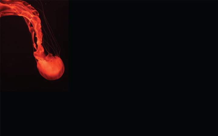 Hình nền máy tính 4K màu đen với gradient tối