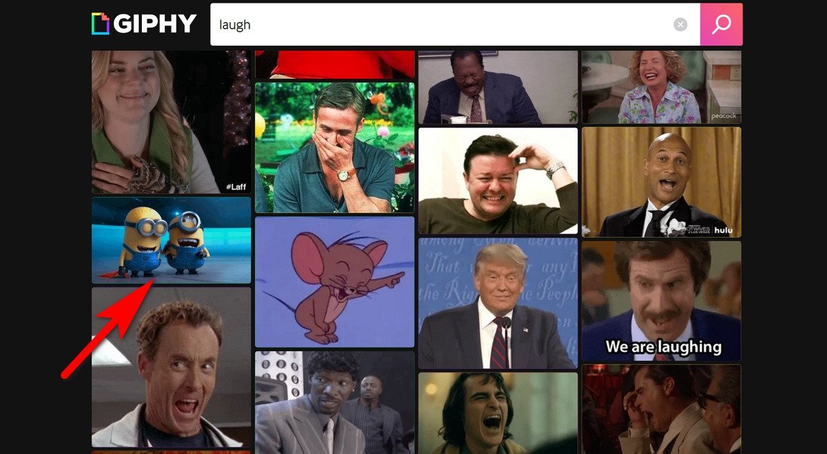 Cách tải GIF về máy tính từ GIPHY: Chọn ảnh GIF