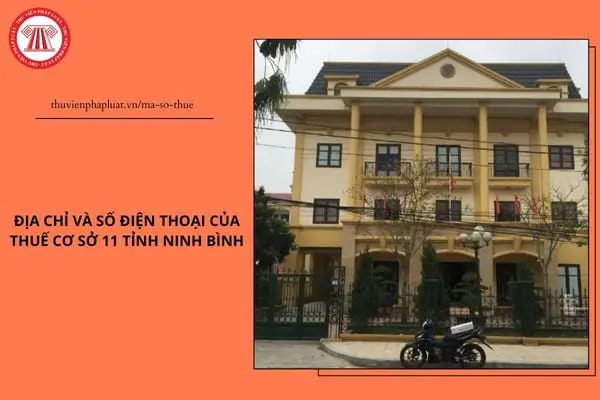 công ty cổ phần máy tính viện