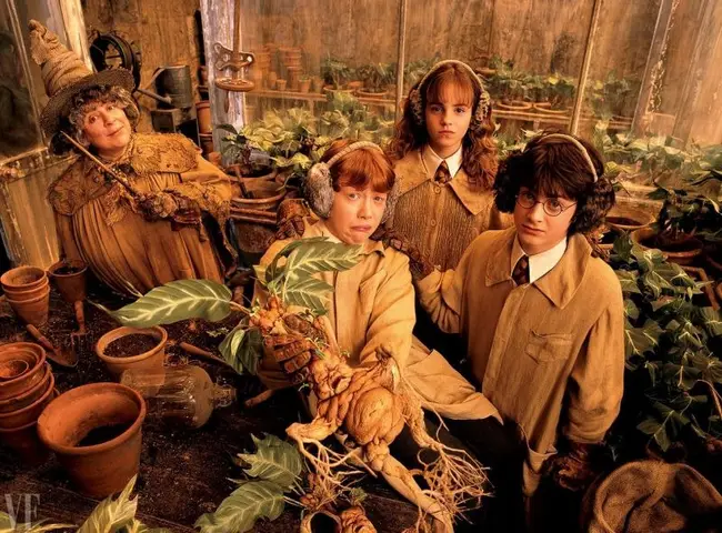 hình nền máy tính harry potter