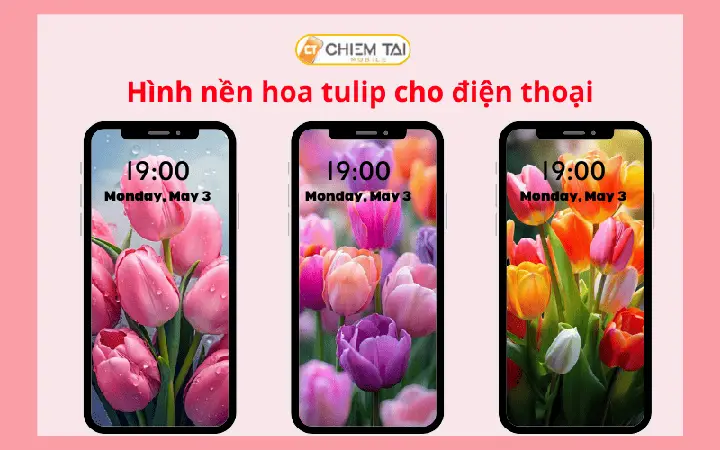 hình nền máy tính hoa tulip