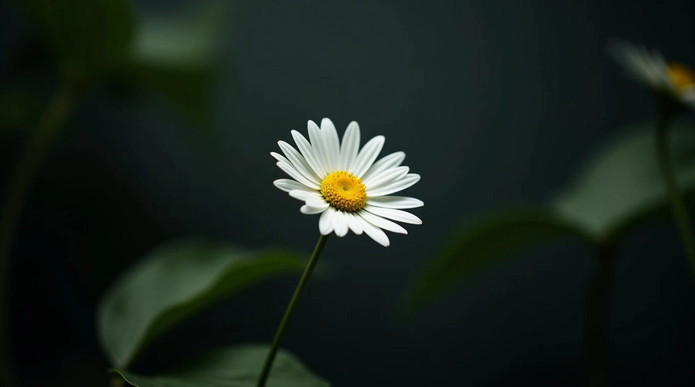 hình nền thành phố 4k