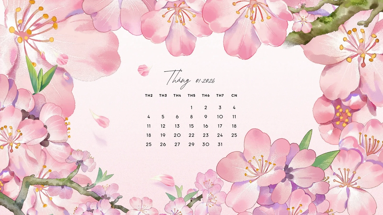 Màu Hồng Hình Vẽ Hoa Đào Lịch Tháng Hình Nền Máy Tính