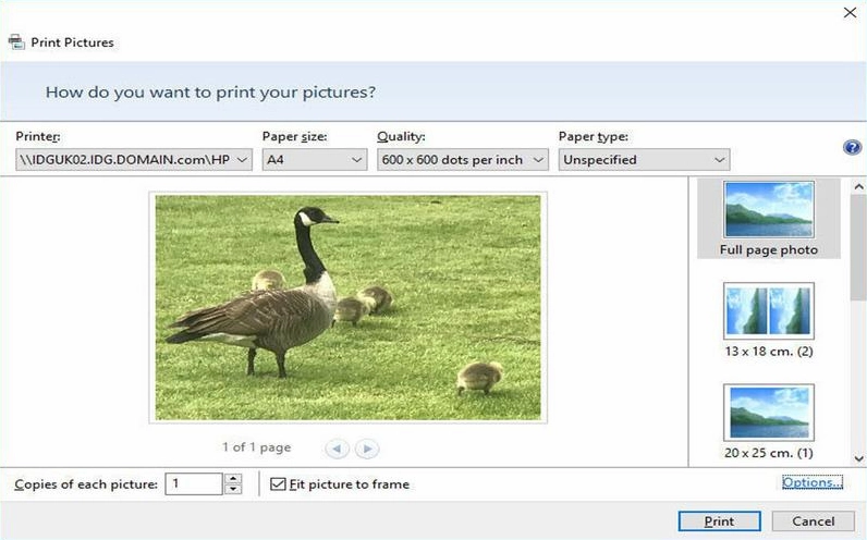 2026: Hướng Dẫn Chi Tiết <strong>Cách In Ảnh Từ Máy Tính Ra Giấy A4</strong> Chuẩn Đẹp Từ A-Z
