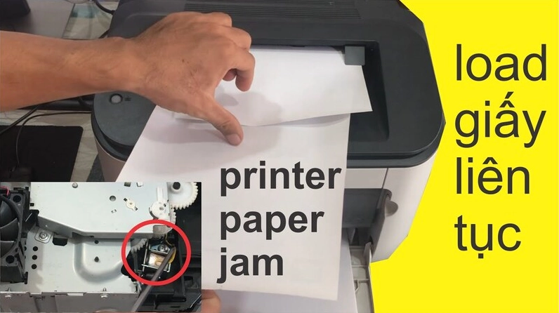 Giải Mã Lỗi Paper Jam: Khắc Phục Nhanh Chóng, In Ấn Suôn Sẻ 2026