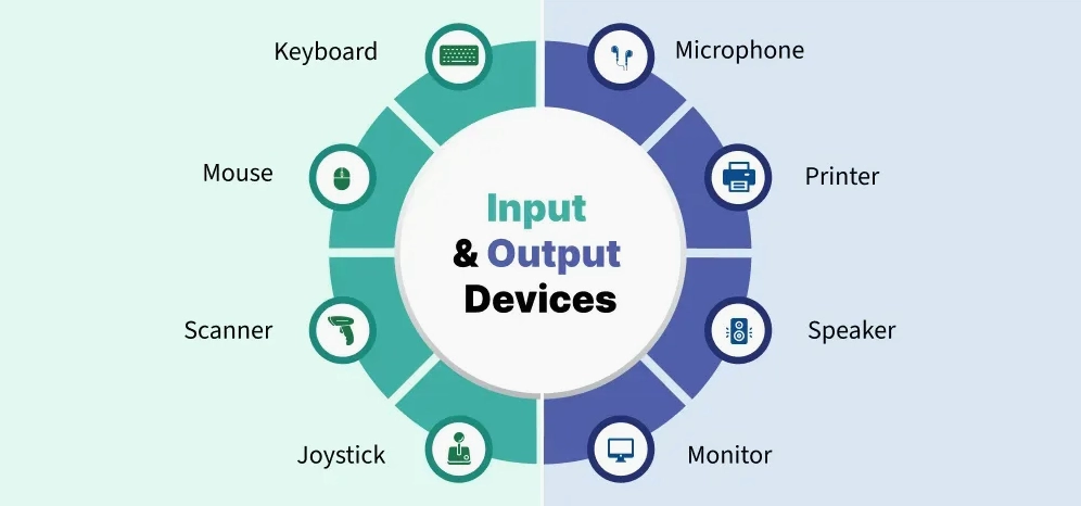 Input and Output Devices