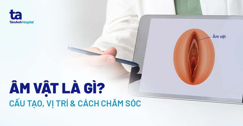 Bí Mật Âm Đạo Phụ Nữ: Cấu Tạo, Chức Năng và Chăm Sóc Đúng Cách 2026
