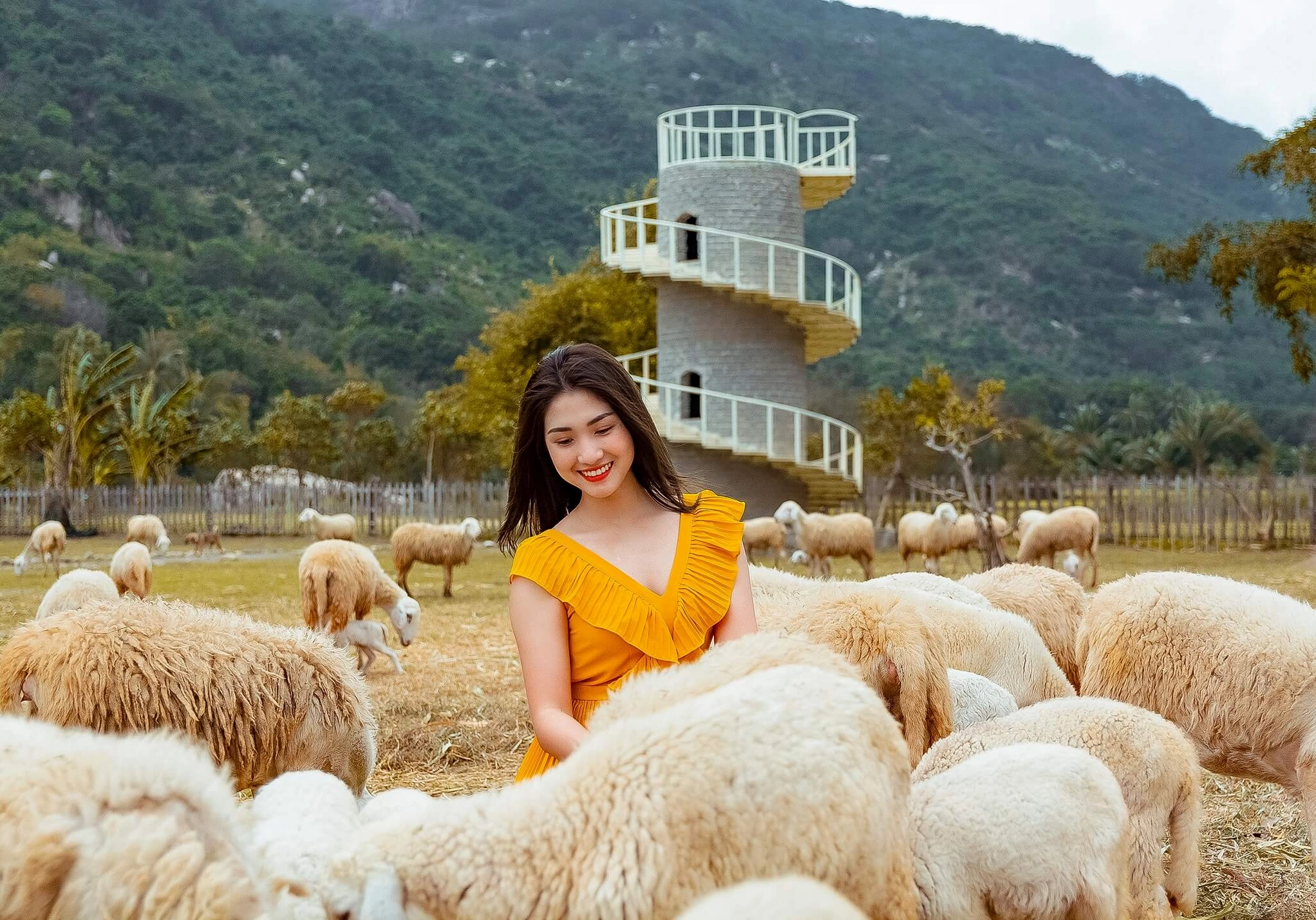 Cam Ranh Ở Đâu? Khám Phá Vị Trí Vàng Và Vẻ Đẹp Hoang Sơ Của Thành Phố Biển 2026 Cam Ranh thuộc tỉnh nào? Đây là một thành phố ven biển thuộc tỉnh Khánh Hòa